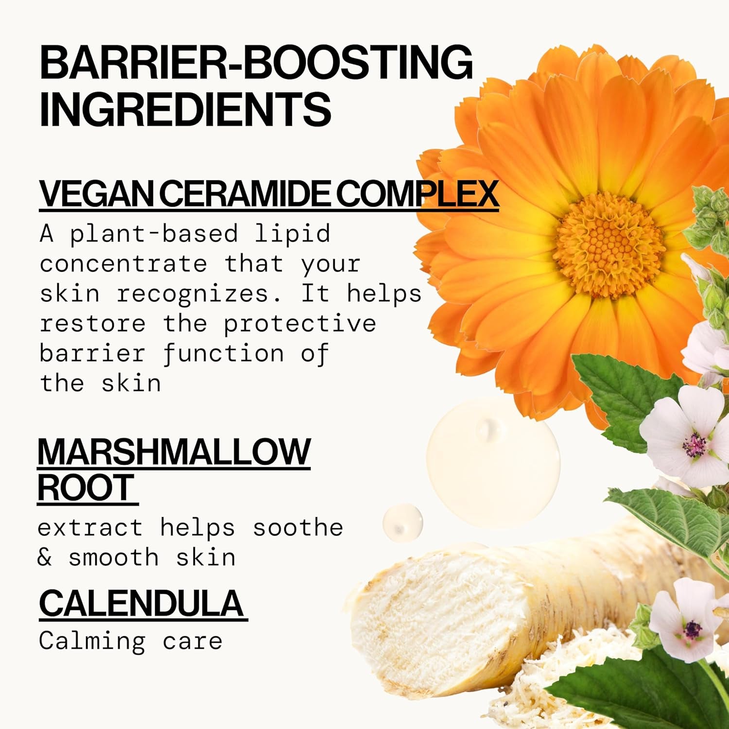 Face Wash for Sensitive Skin Facial Cleanser Vegan Ceramide Barrier Repair Extra Gentle for Daily Fragrance Free for Sensitive Skin, Clean Beauty, Vegan & Cruelty-Free Dermatologist Tested